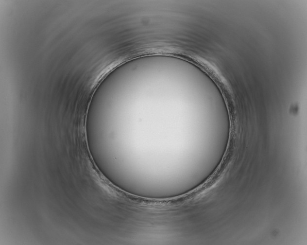 X0000091060889200708060957