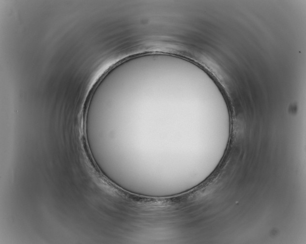 X0000091060891200708060957