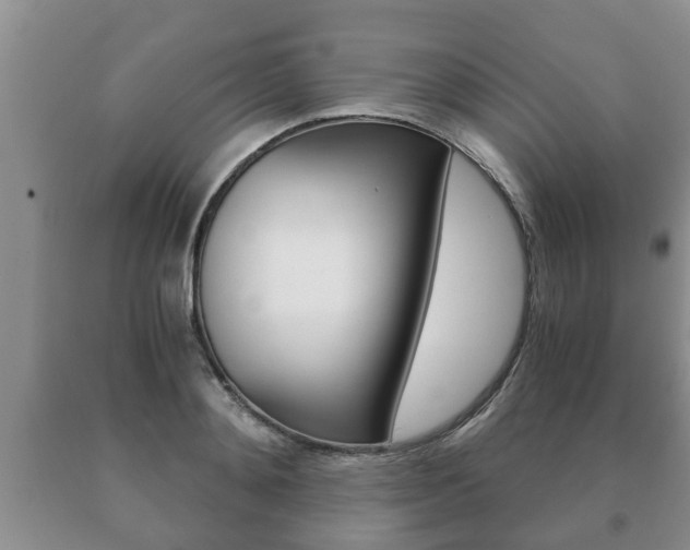 X0000091060892200708060957
