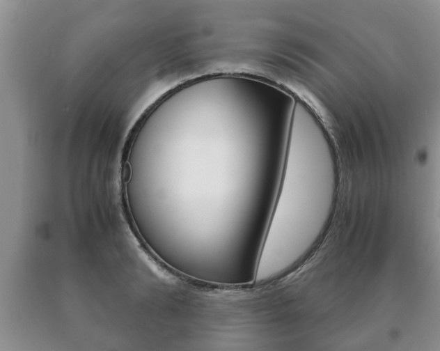 X0000091060894200708060957