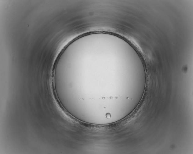 X0000091060895200708060957