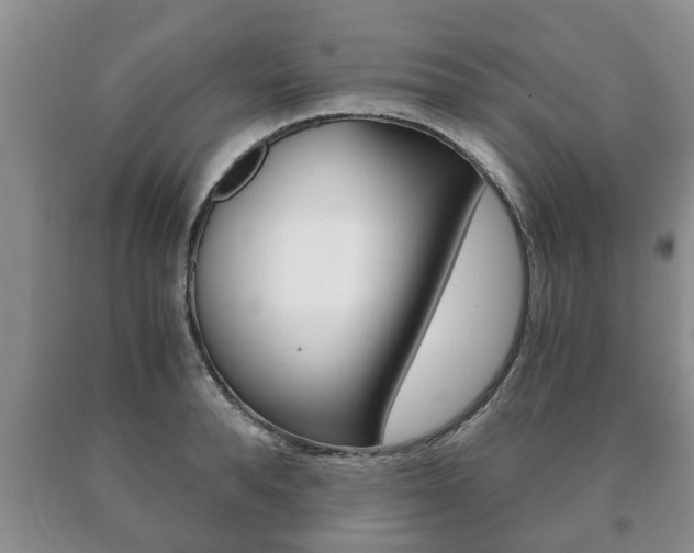 X0000091060896200708060957