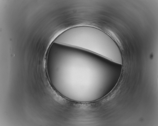 X0000091060900200708060957