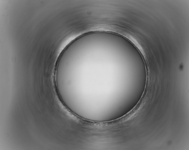 X0000091060901200708060957