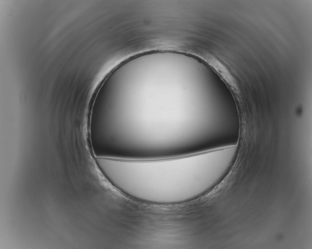 X0000091060904200708060957