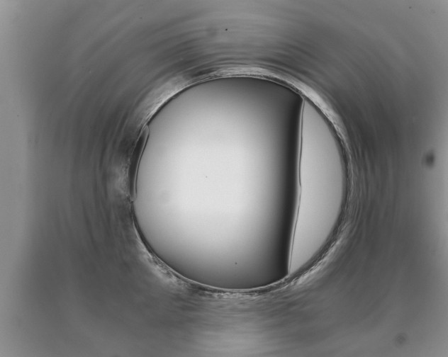 X0000091060905200708060957