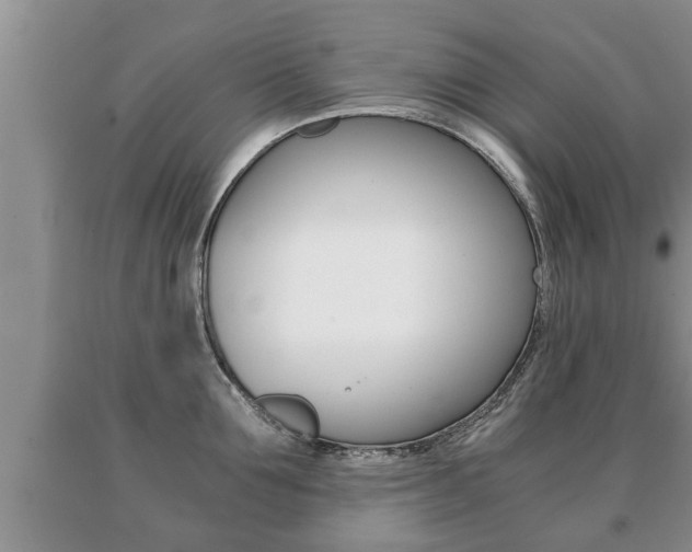 X0000091060907200708060957