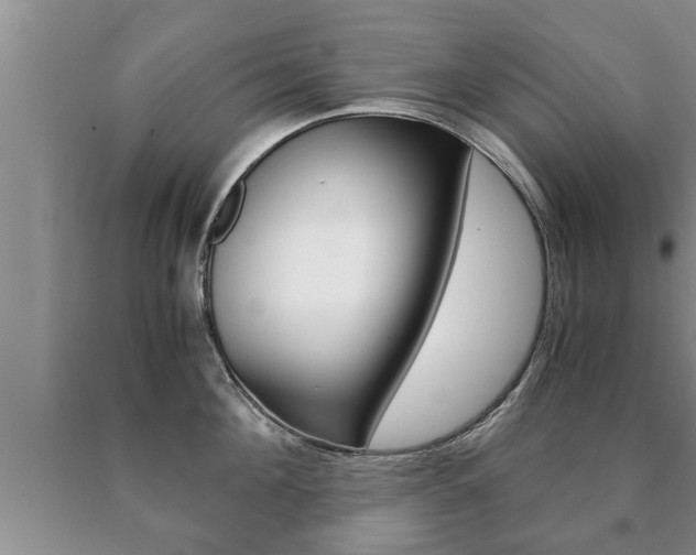 X0000091060908200708060957