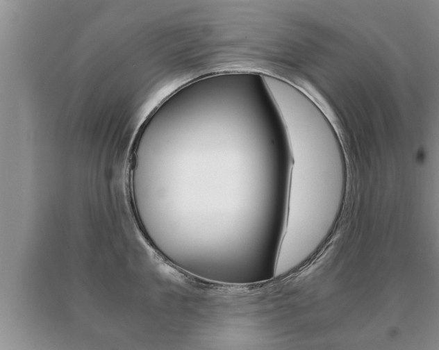 X0000091060909200708060957