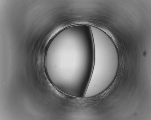 X0000091060910200708060957