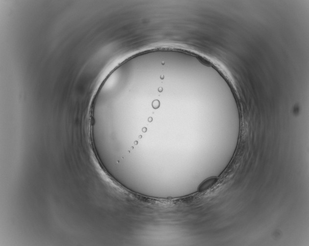 X0000091060911200708060957