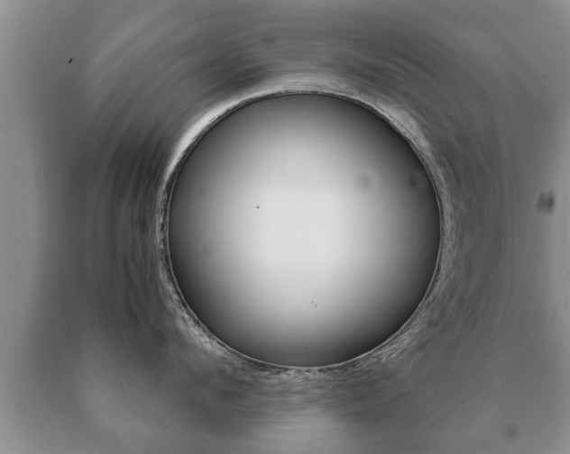 X0000091060912200708060957
