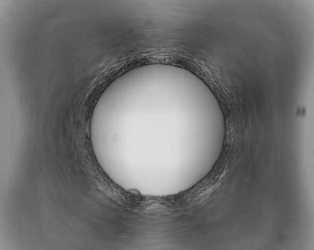 X0000091060913200708060956