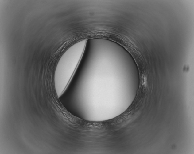 X0000091060915200708060956