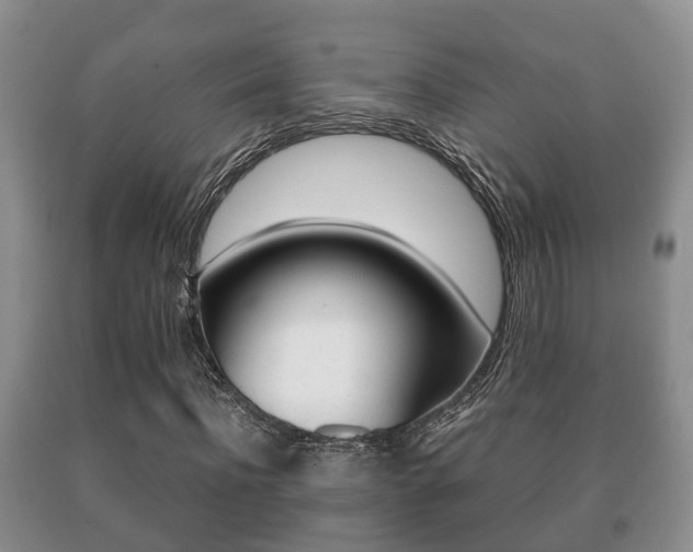 X0000091060916200708060956