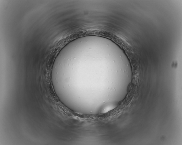 X0000091060917200708060956