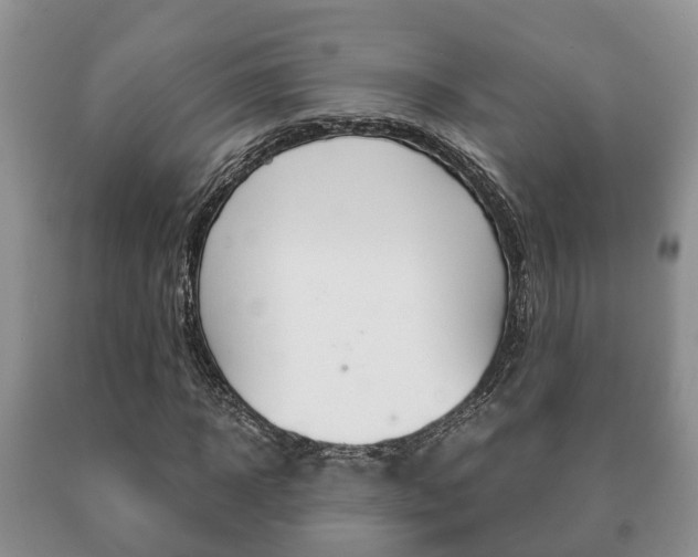 X0000091060918200708060956