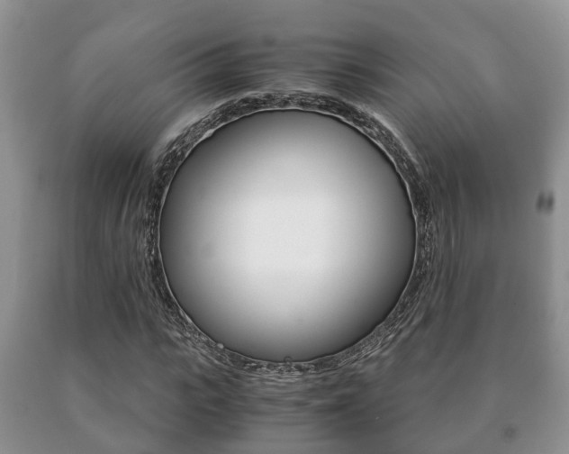 X0000091060919200708060956