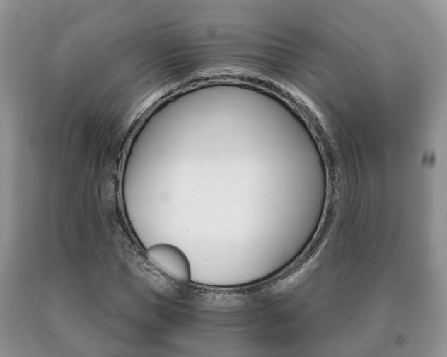 X0000091060921200708060956