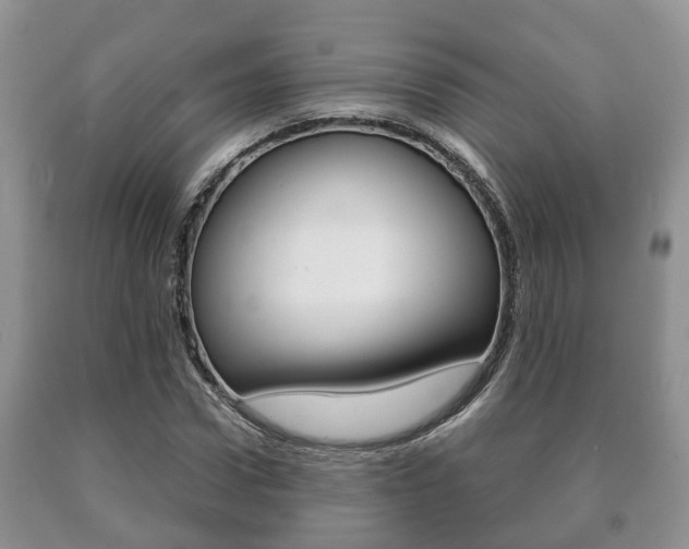 X0000091060922200708060956