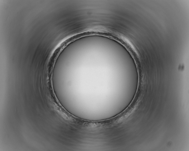 X0000091060923200708060956