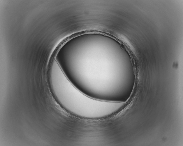 X0000091060924200708060956