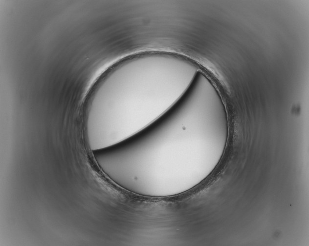 X0000091060926200708060956