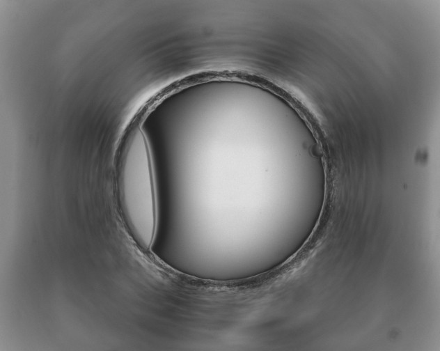 X0000091060927200708060956