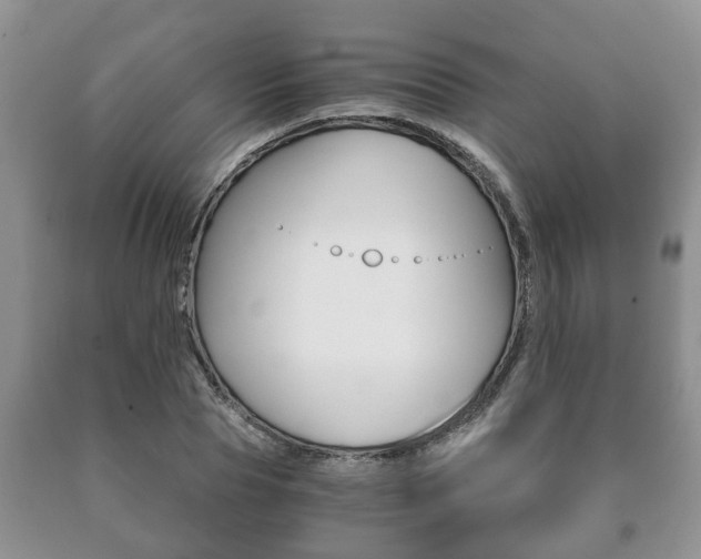 X0000091060929200708060956