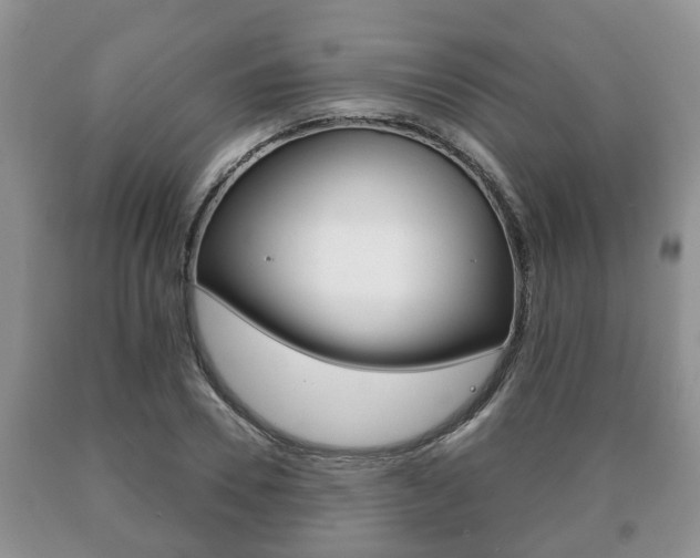 X0000091060930200708060956