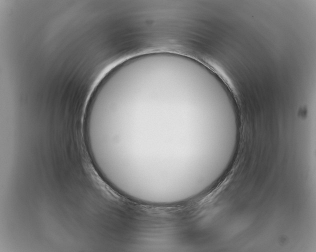 X0000091060932200708060956