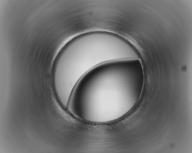 X0000091060934200708060956