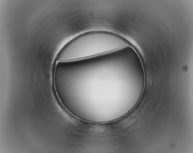 X0000091060935200708060956