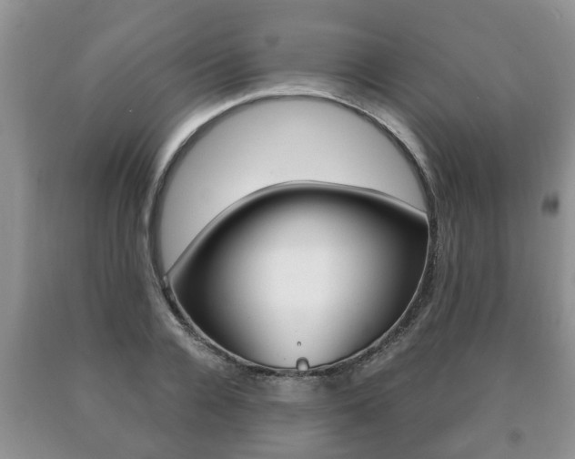 X0000091060936200708060956
