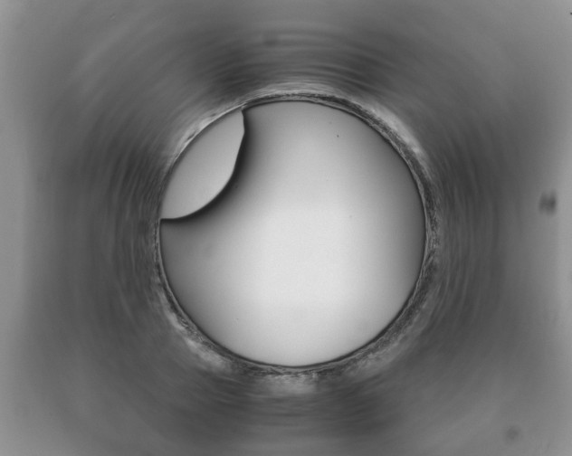 X0000091060937200708060956