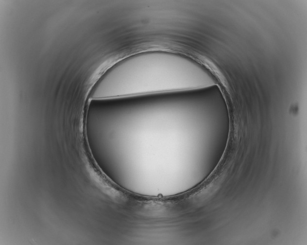 X0000091060938200708060957