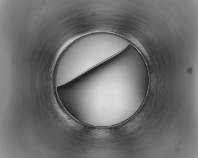 X0000091060939200708060957