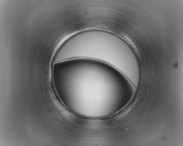 X0000091060940200708060957