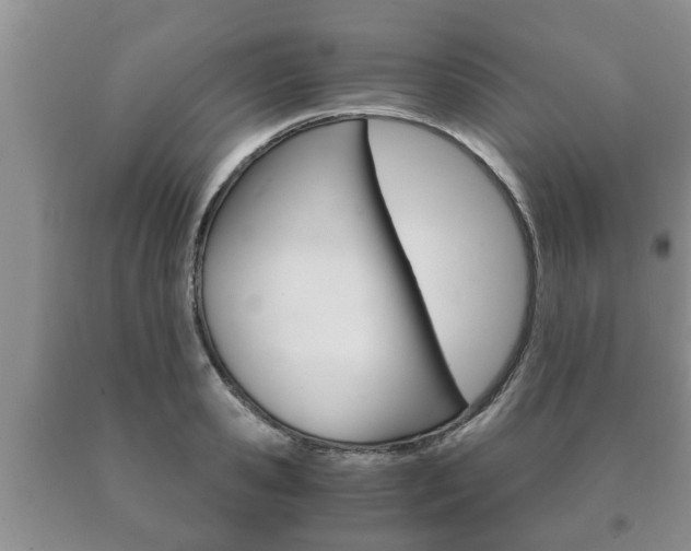 X0000091060941200708060957