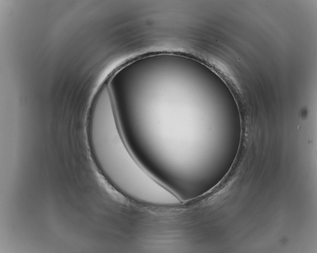X0000091060942200708060957