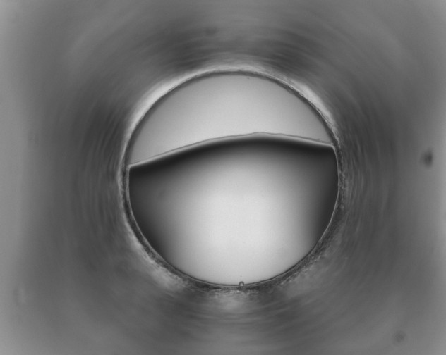 X0000091060943200708060957