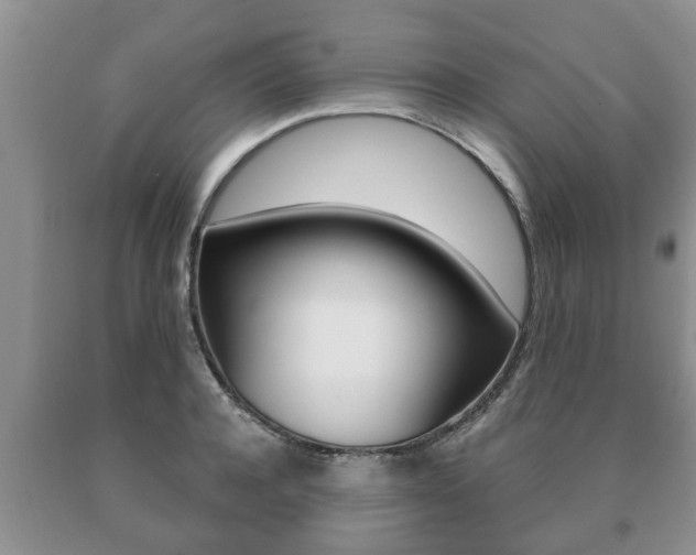 X0000091060944200708060957