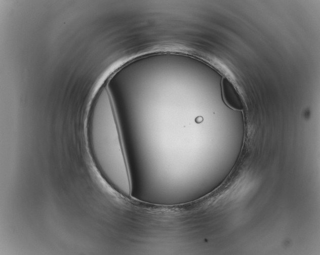 X0000091060947200708060957