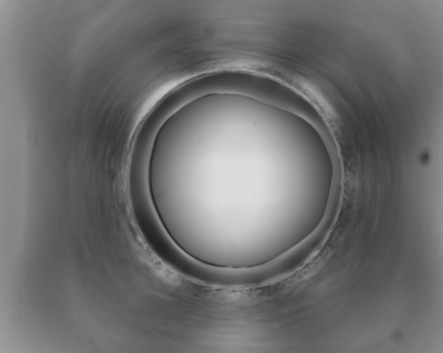 X0000091060948200708060957