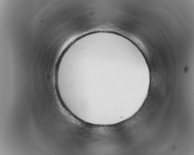 X0000091060950200708060957