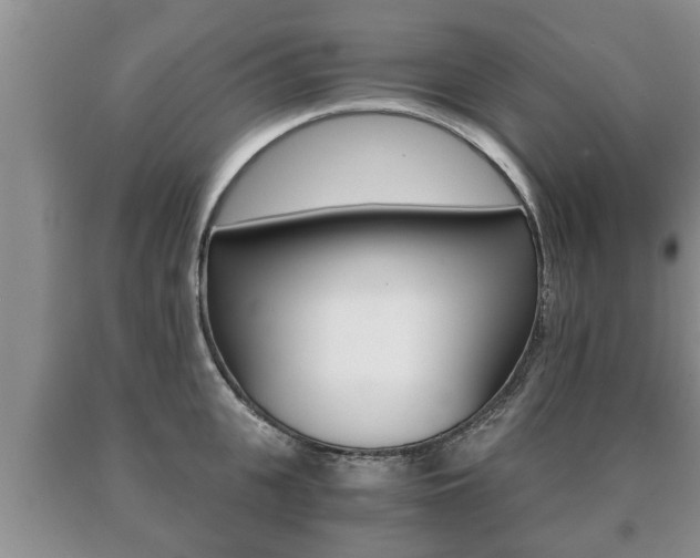 X0000091060951200708060957