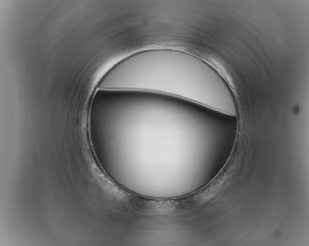 X0000091060952200708060957