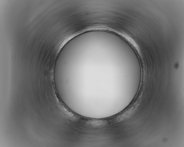 X0000091060953200708060957