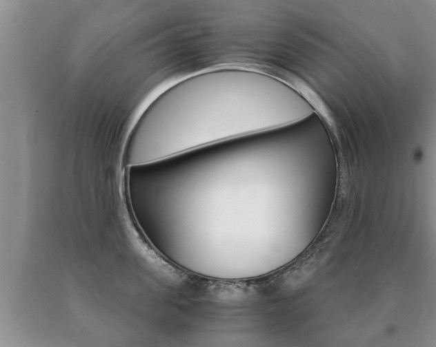 X0000091060955200708060957