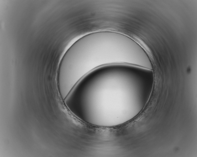 X0000091060956200708060957